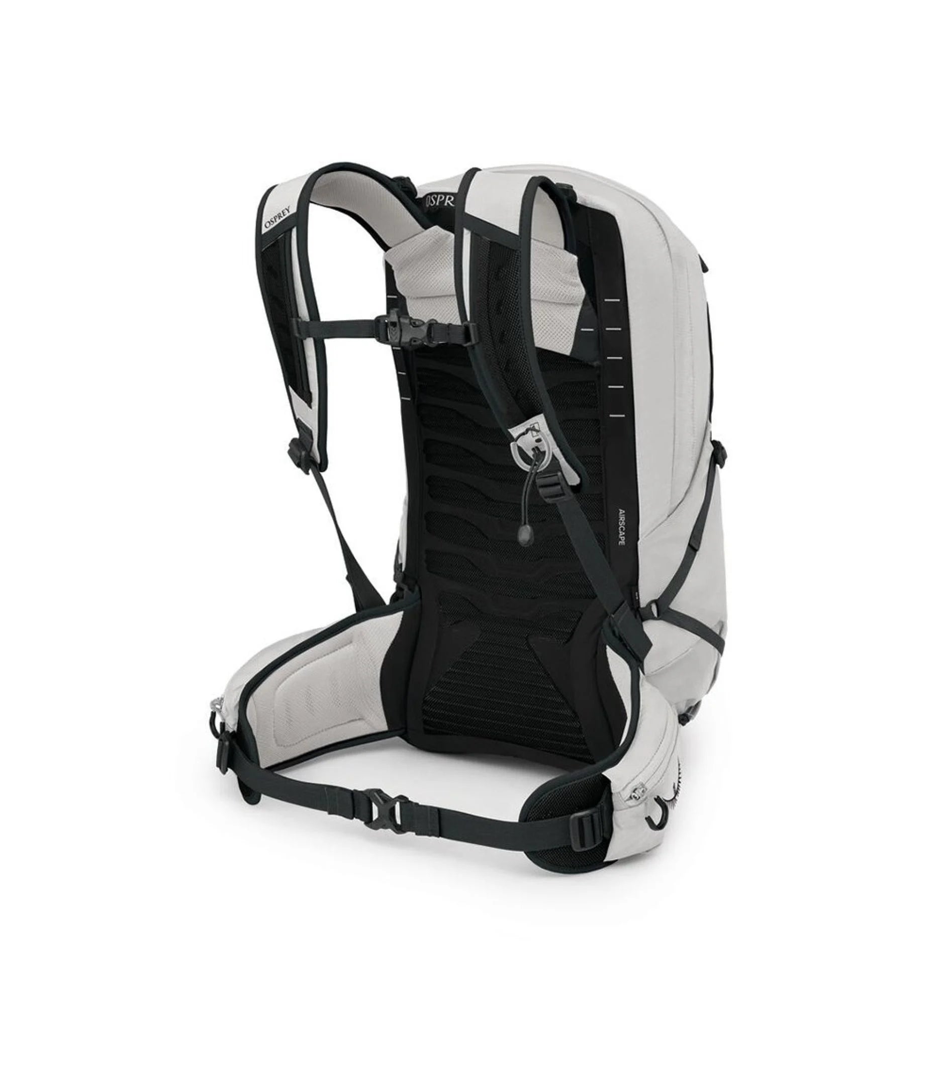 Talon 22