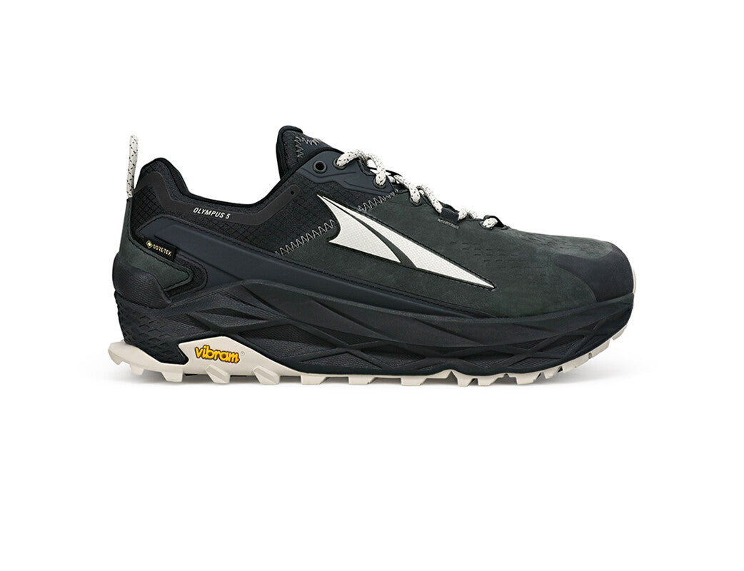 Olympus 5 Hike Low GTX M