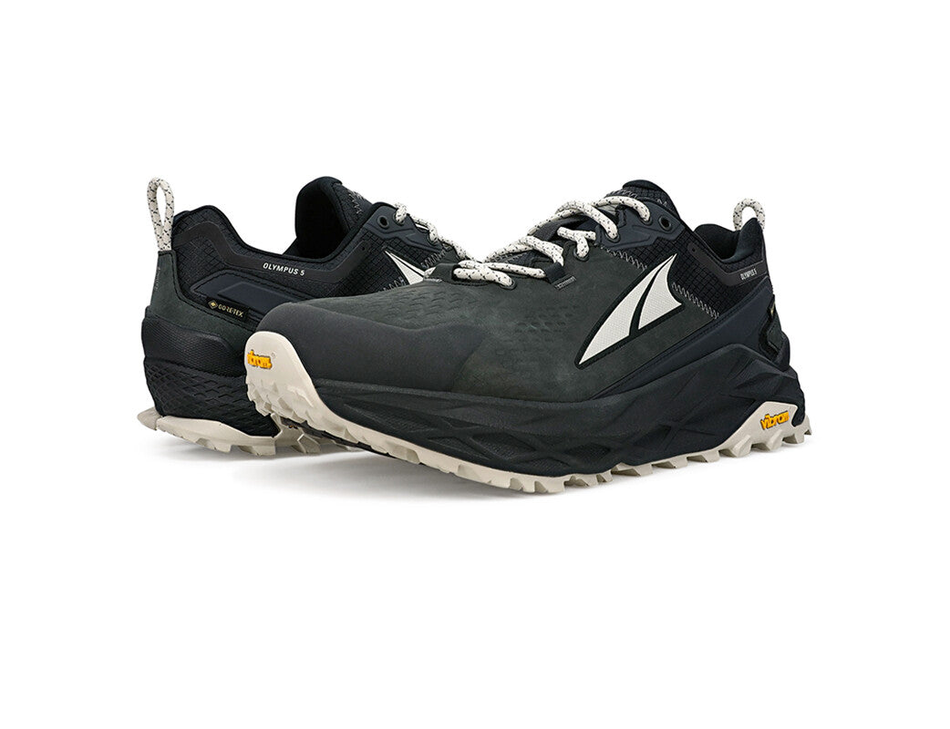 Olympus 5 Hike Low GTX M
