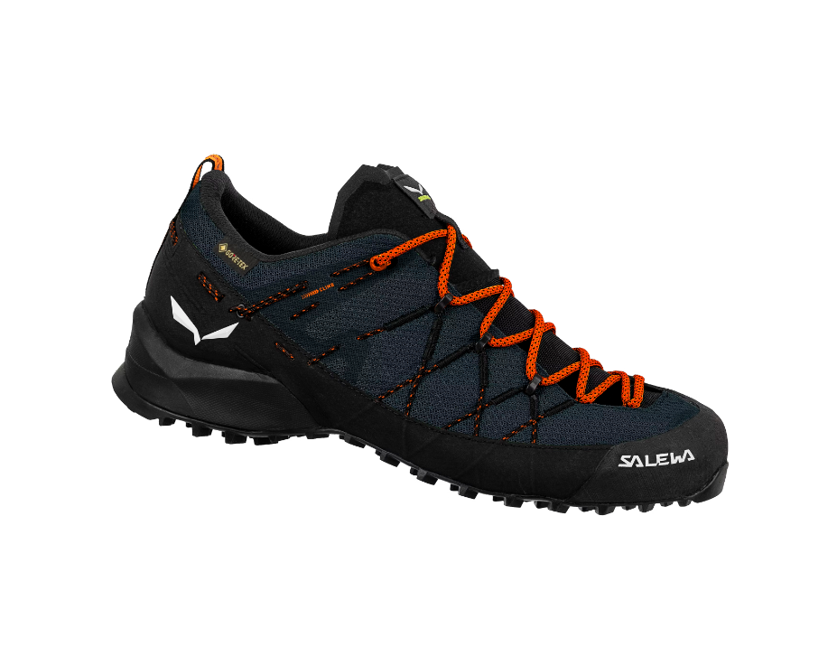 Wildfire 2 GTX Shoe M