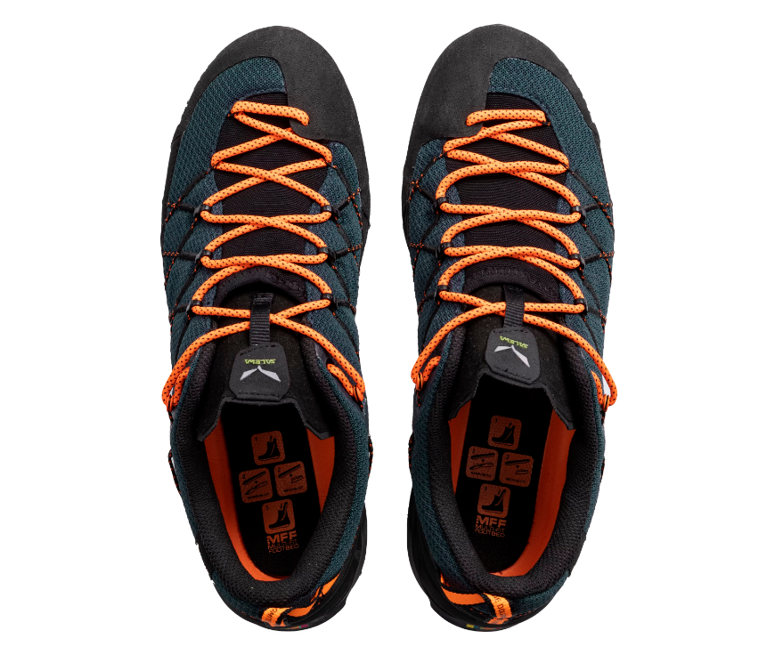 Wildfire 2 GTX Shoe M
