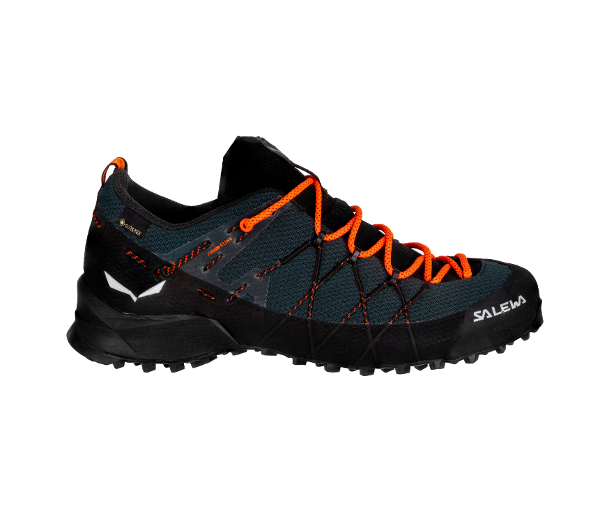 Wildfire 2 GTX Shoe M