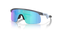 Resistor (Youth fit) Blue Steel/Prizm Sapphire Sunglasses