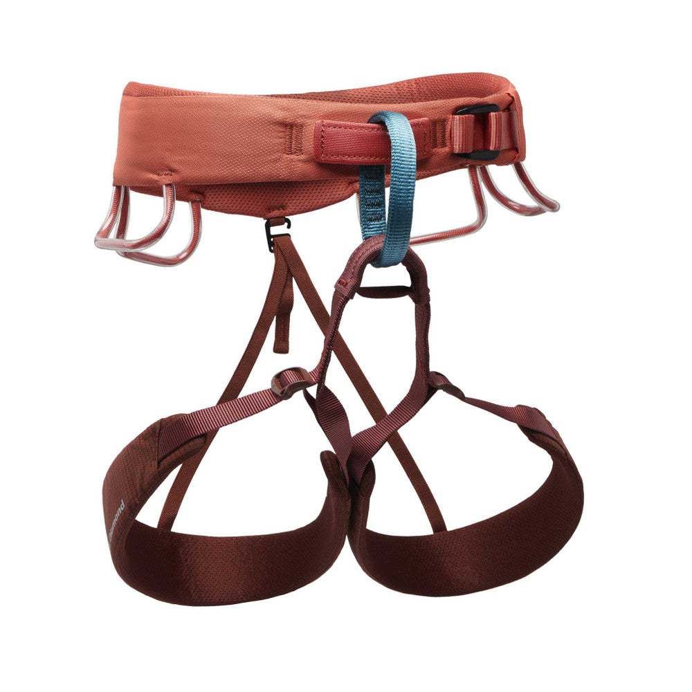 Momentum Harness W