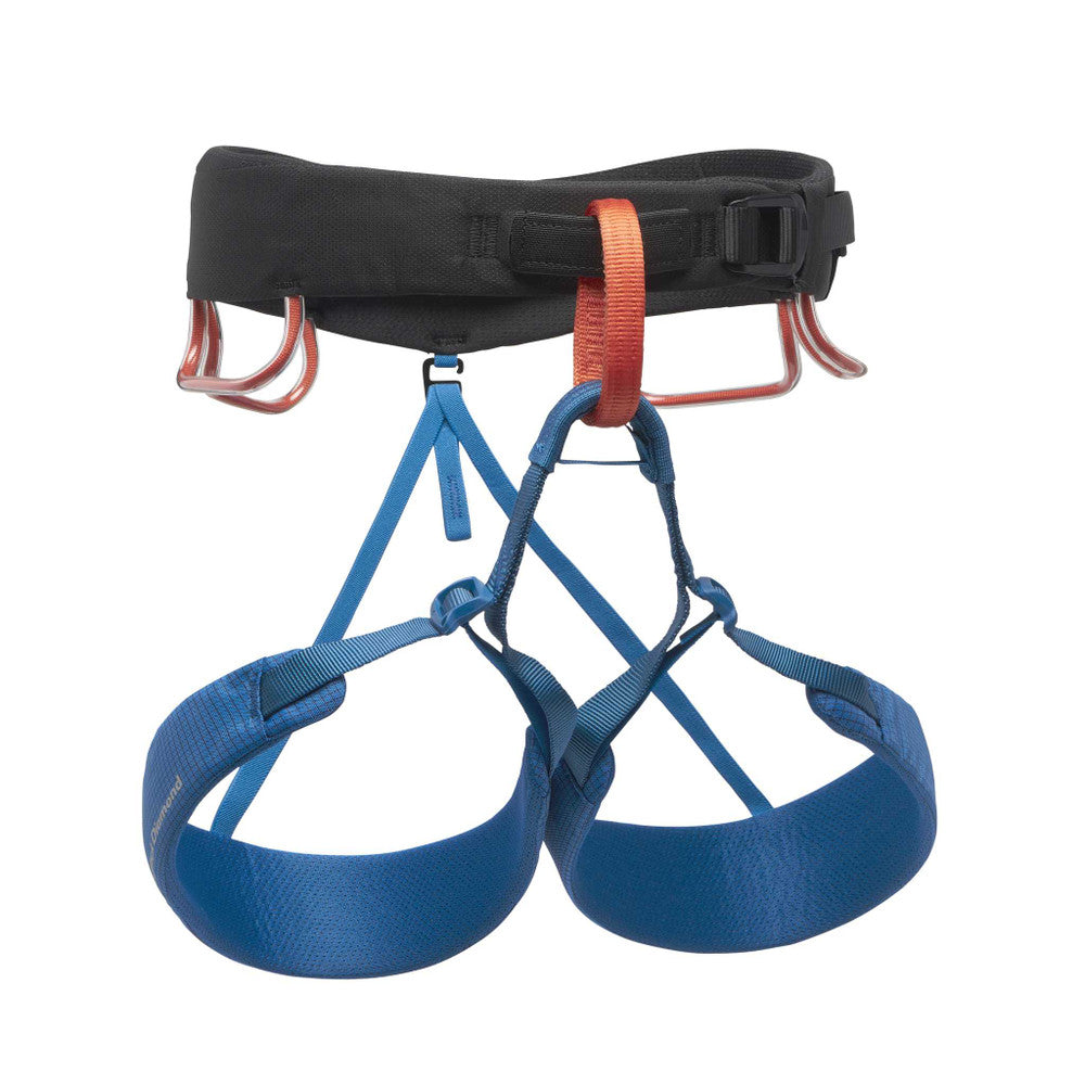 Momentum Harness M