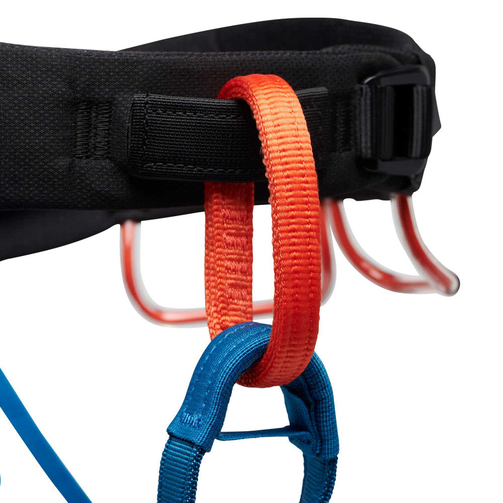 Momentum Harness M