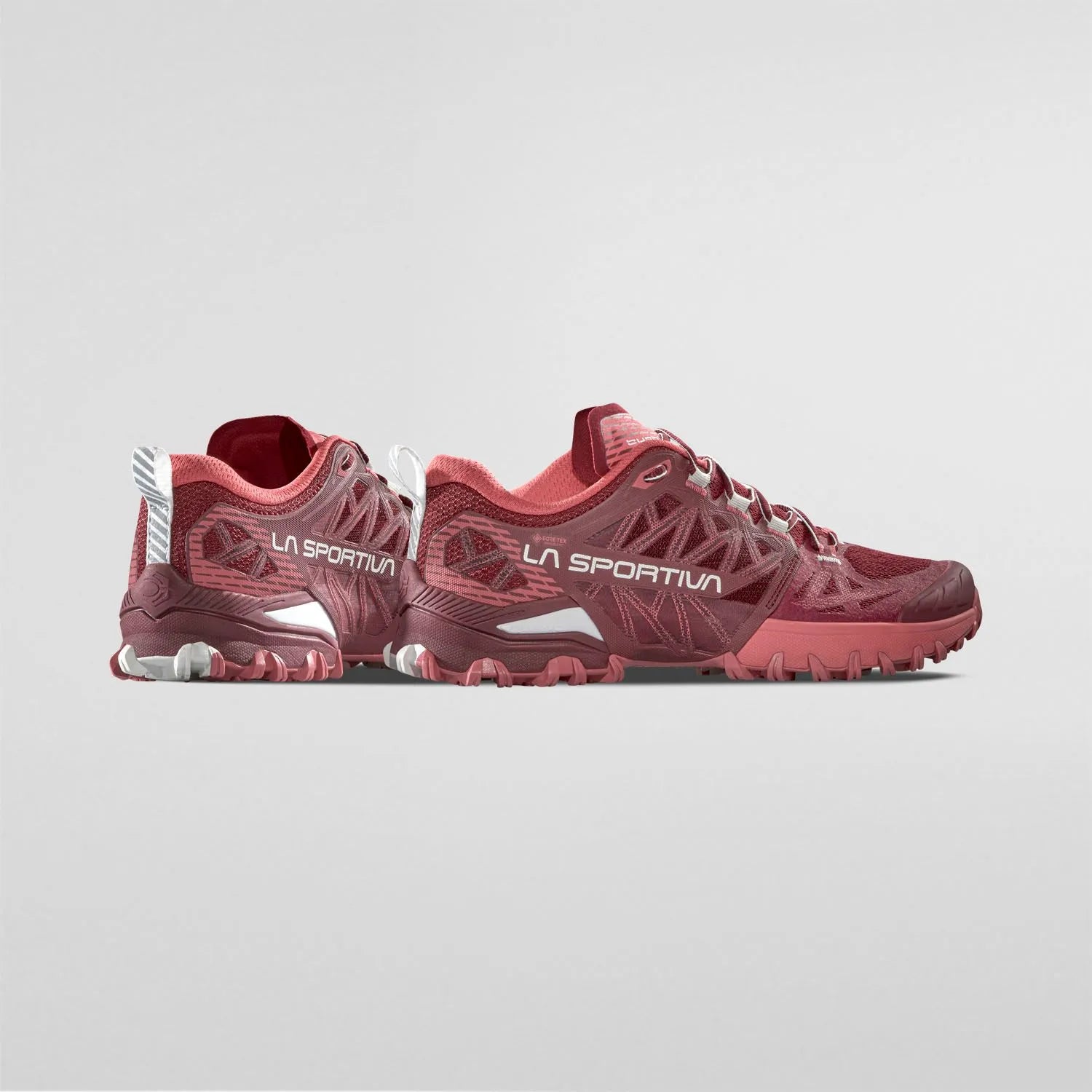 Bushido III Gtx Wmn