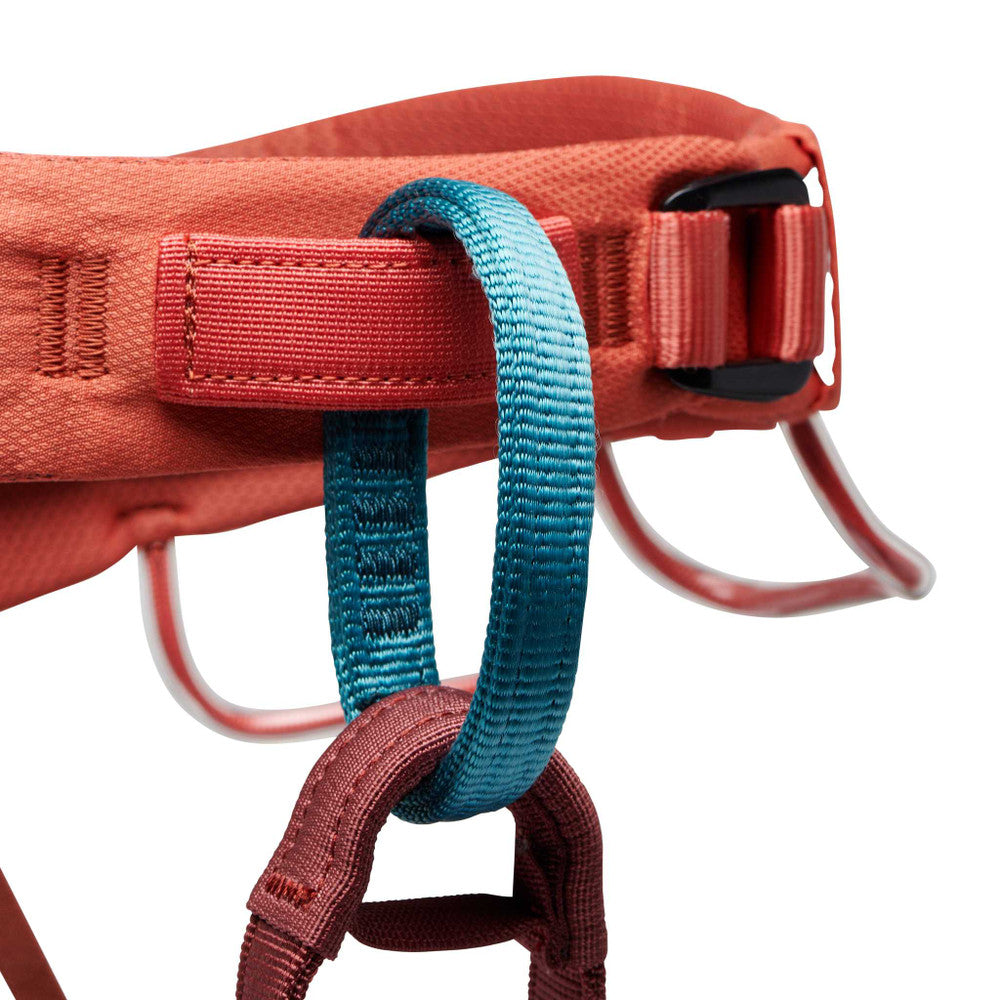 Momentum Harness W